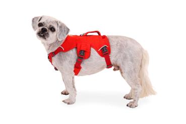 Ruffwear Web Master Harness Red Sumac Gr. XXS